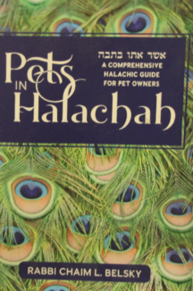 ספר אנגלית