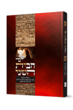 ימי-הבית-השני-הדמיה