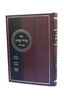 שיח-יצחק-שביעית-שטוח