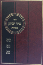 שיח-יצחק-שביעית-שטוח