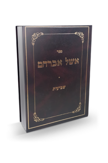 אשל אברהם שביעית