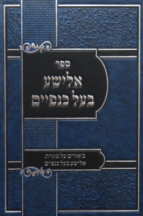 אלישע בעל כנפיים