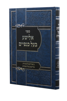 אלישע בעל כנפיים