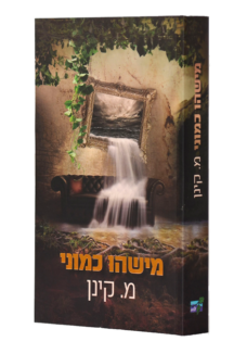 מישהו כמוני copy