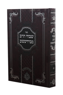 שבחי הרב מברדיטשוב