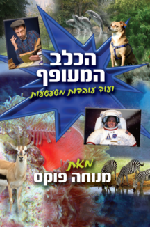 kelev_meoff הכלב המעופף