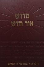 מדרש אור חדש