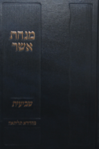 מנחת אשר שביעית