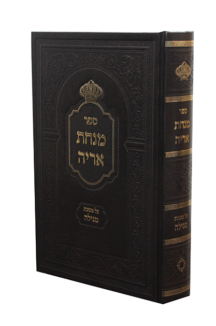 מנחת אריה על מסכת מגילה