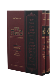 פרקי מחשבה אתה בחרתנו + שיר השירים סט