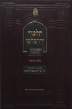 תלמוד ירושלמי – שביעית הגר”ח קנייבסקי