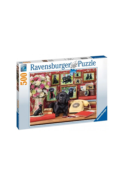 פאזל החברים הנאמנים שלי