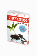 אסתריקה