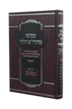 מנהגי מהרי”צ הלוי שבת