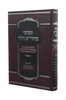 מנהגי מהרי”צ הלוי שבת