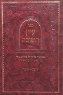 עיון תשובה עיון תשובה על רעק”א זרעים מועד