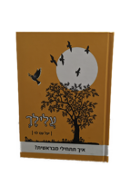 עלילך איך תתחילי מבראשית 1