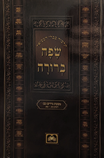 תלמוד בבלי המבואר שפה ברורה שטוח תלמוד בבלי המבואר שפה ברורה שטוח