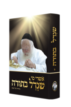 אשרי מי שגדל בתורה ב  – על ר’ חיים קניבסקי