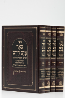 באר מים חיים על התורה