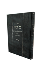 גל עיני - במדבר