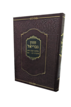 חזון גבריאל - הלכות שבת