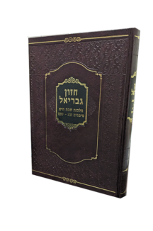 חזון גבריאל - הלכות שבת