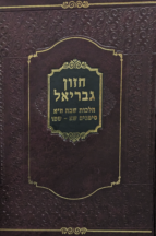 חזון גבריאל - הלכות שבת