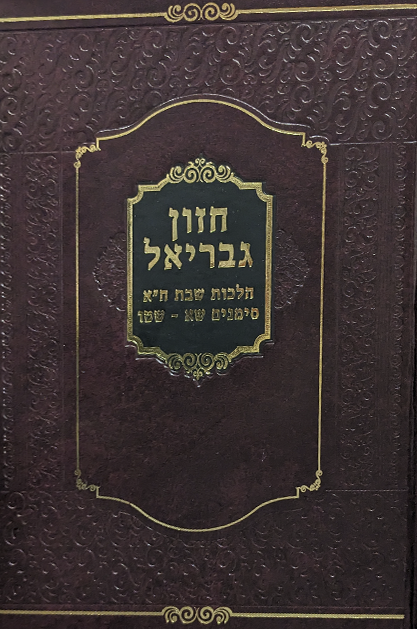 חזון גבריאל - הלכות שבת