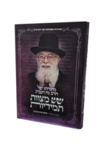 שש מצוות תמידיות - מתורתו של הרב נח וינברג