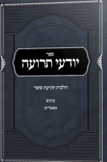 יודעי תרועה