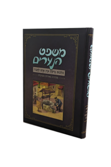 משפט הנערים - הִלְכוֹת נְזִיקִין וּבֵין אָדָם לַחֲבֵרוֹ מאוייר ומנוקד