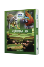 אגן האמזונס