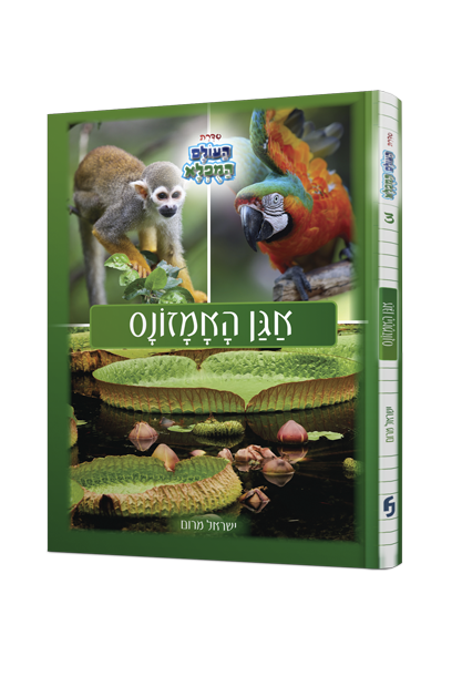 אגן האמזונס