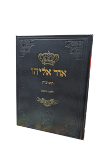 אור אליהו - סוכות