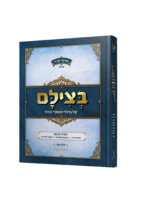 בצילם של גדולי ומאורי הדור - חלק-2