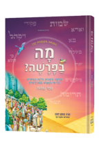 מה בפרשה?