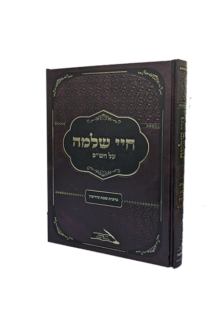 חיי שלמה על הש"ס