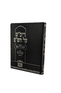 חידושי הריב"ש על הש"ס