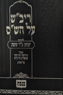 חידושי הריב"ש על הש"ס