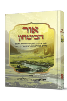 אור הביטחון