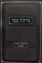 ברכת צבי - על התורה ומועדים