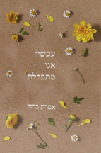 עכשיו אני מתפללת