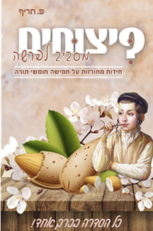 פיצוחים מסביב לפרשה