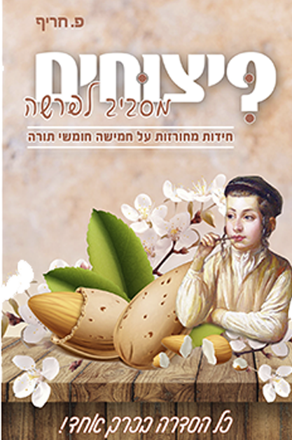 פיצוחים מסביב לפרשה