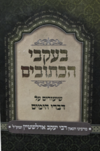 בעקבי הכתובים - על דברי הימים