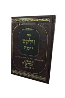 וילקט יוסף - לקט על התורה ועל המועדים