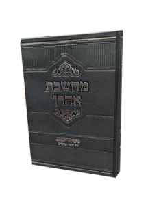 מחשבת אהרון - על ספר תהילים