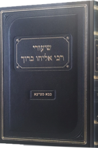 שיעורי רבי אליהו ברוך - בבא מציעא