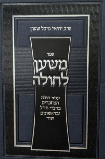 משען לחולה copy משען לחולה